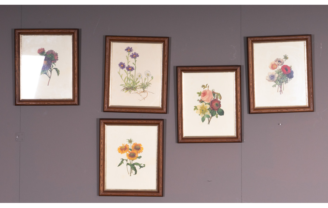 Set of five floral prints with walnut frame